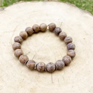 Bracelet Jaspe Peau de Serpent Mat et Argent
